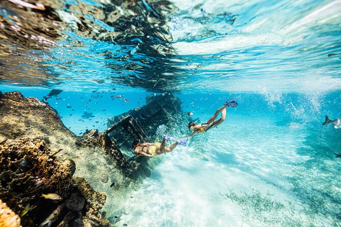 Snorkeling Tour with Turtles and Stingrays Puerto Morelos - Pickup and return: Cancun convenience without the full-day chaos