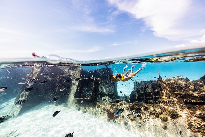 Snorkeling Tour with Turtles and Stingrays Puerto Morelos - Price check: what $70 looks like after dock fees