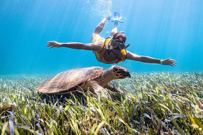 Snorkeling Tour with Turtles and Stingrays Puerto Morelos - Marina comfort at the start: lockers, showers, and bathrooms