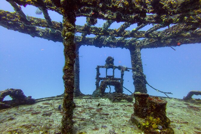 SPECIAL!! 2 Tank Wreck & Drift Reef dives - Small group care: how the guides shape the experience