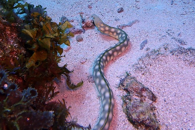 SPECIAL!! 2 Tank Wreck & Drift Reef dives - Meeting point tip and what to do before you arrive