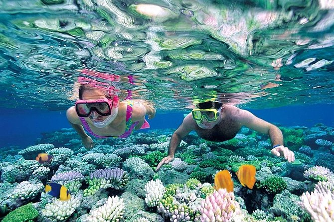 Special offer COMBO 2x1 (Tour to Isla Mujeres and Chichén Itzá ) for 1 price! - Valladolid: a quick town stop with colorful streets and classic architecture