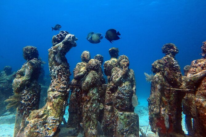 SPECIAL! Snorkel at MUSA - The Underwater Museum Reservation - Price and value: what $55 really buys you