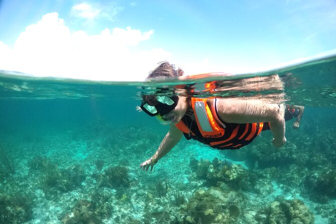 Speed boat aventure and snorkel - Tips to get better value out of the speedboat and snorkel
