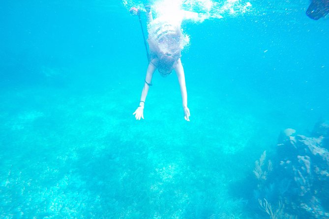 Speed Boat & Snorkel Tour with transportation ( only Cancun zone area) - What’s included: your money goes to the reef time and the gear