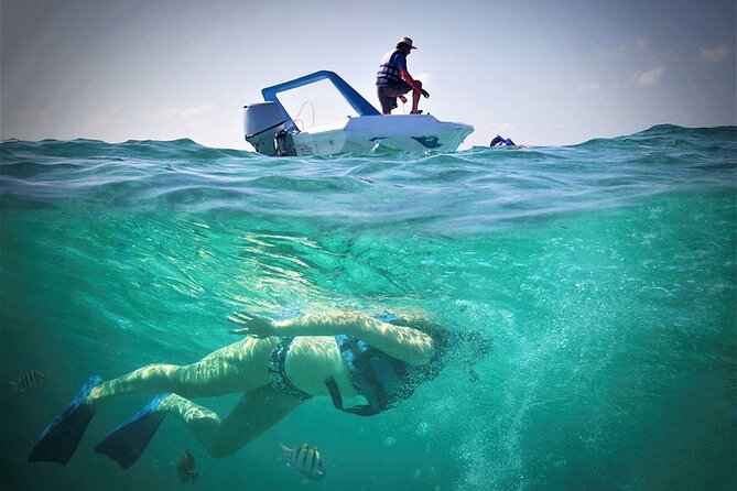 Speed Boat & Snorkel Tour with transportation ( only Cancun zone area) - Price and value, including the $20 dock fee per person