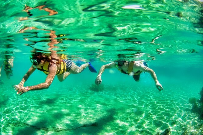 Speedboat across the Mangroves & Snorkel with Jet Ski Rental - The “trip vibe”: guides, tips, tequila, and the upsells