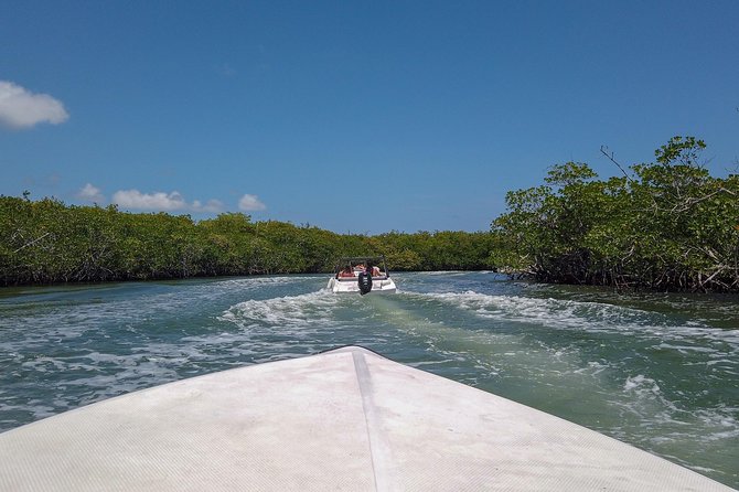 Speedboat and snorkel tour: Single Passenger Boat - Why Cancun Speedboat + Snorkel Works So Well Together