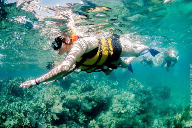 Speedboat and snorkel tour: Single Passenger Boat - Price and Value: The Real Cost of This Speedboat Tour