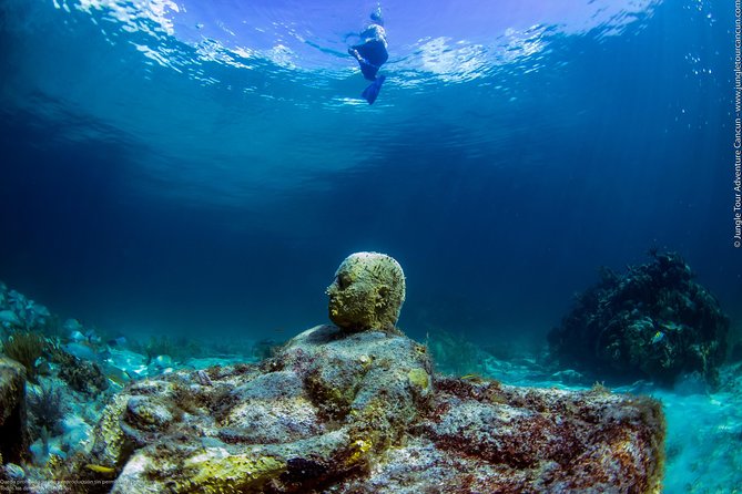 Speedboat and snorkel tour: Single Passenger Boat - Logistics That Can Make or Break Your Day