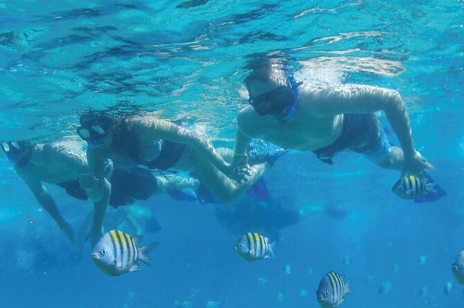 Speedboat Excursion: Thrilling Drive & Snorkel in Cancun Lagoon! - Snorkeling gear is included, now make it count underwater
