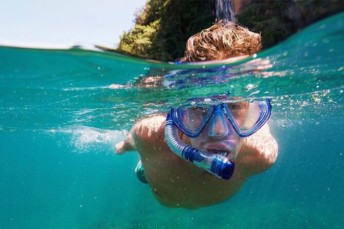 Speedboat Excursion: Thrilling Drive & Snorkel in Cancun Lagoon! - Price, dock fees, and what you should budget before you go