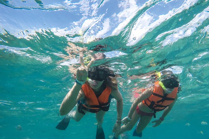 Speedboat jungle tour and snorkel - Guides, Safety, and That Small-Group Feel