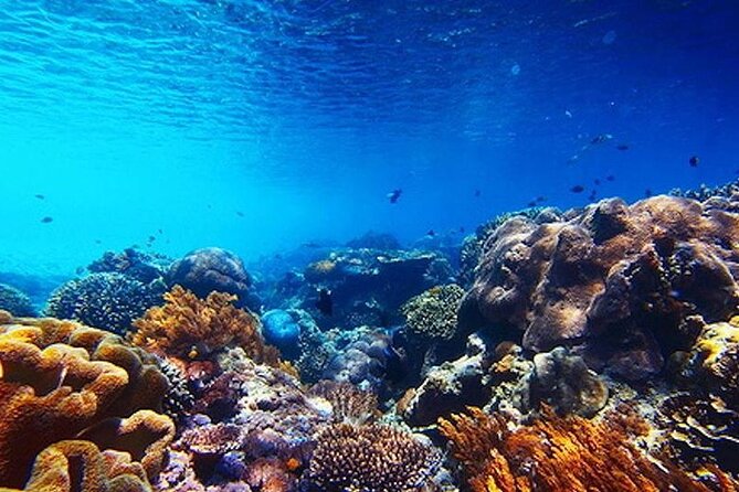 Subsea Subsee - Aquaworld check-in: where the experience starts
