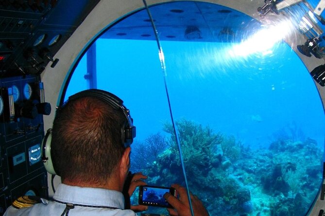 Subsea Subsee - Underwater windows: marine life, coral, and statues you can spot