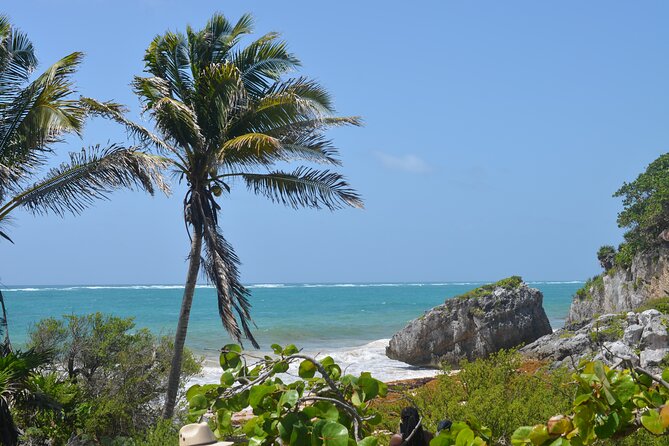 Swim with Turtles in Akumal, Cenote and Tulum Ruins Tour - Turtle swim rules and how to make the most of your hour