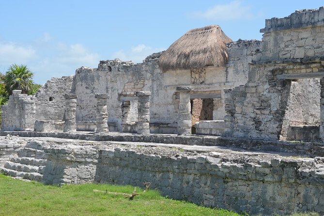 Swim with Turtles in Akumal, Cenote and Tulum Ruins Tour - Value check: is $256.47 worth it for turtle plus Tulum?