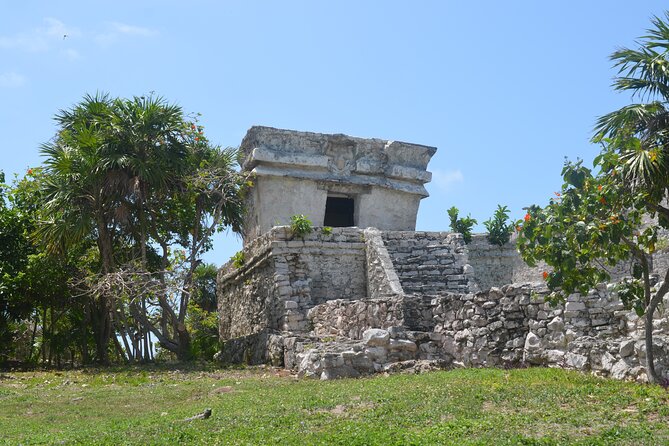 Swim with Turtles in Akumal, Cenote and Tulum Ruins Tour - Who should book this Akumal, cenote, and Tulum day