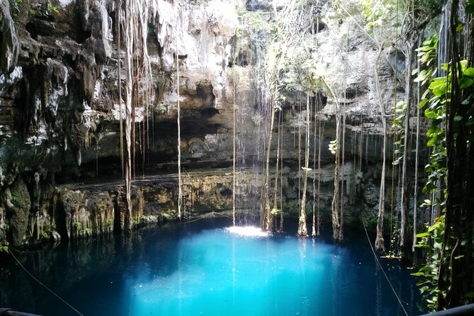 Swim with turtles + snorkelling + archaeological zone of Tulúm + cenote - Stop 3: Gran Cenote for a cool-down swim after the ruins