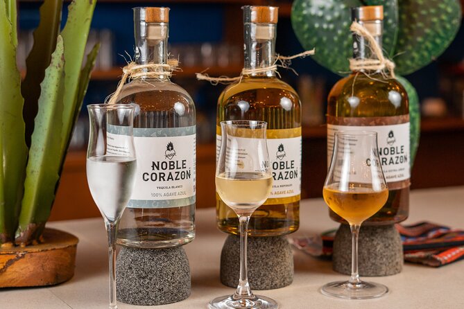 Tequila Tasting and Mixology Experience in Cancun - The 7-Tequila Tasting: How You Learn What You’re Drinking