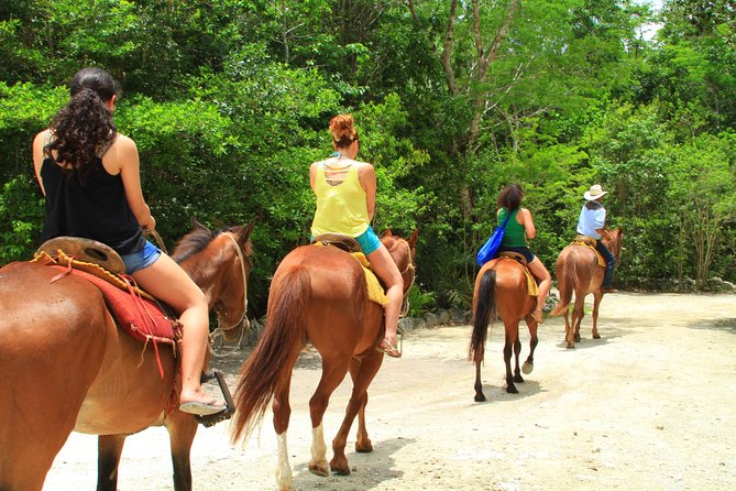 The best ATVs, zipline, cenote tour with lunch and transportation - Horseback on Forest Trails: A Slower Interlude With Real Variety