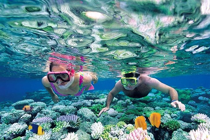 The Best Catamaran Tour to Isla Mujeres from Cancún - Price and Extra Fees, Including the Dock Fee