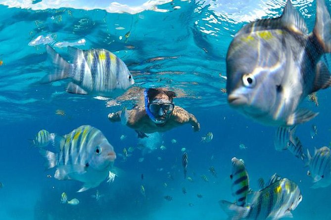 The Best Catamaran Tour to Isla Mujeres from Cancún - What to Pack for a Smooth Day in the Sun