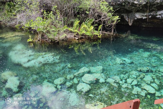 The great snorkeling adventure at the Riviera Maya private tour - How to get the most out of snorkeling and cenote time