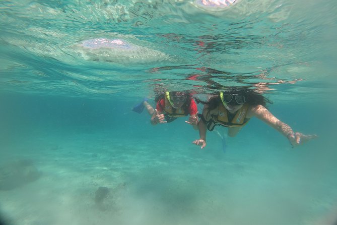 The most Intrepid Speedboat Adventure in Cancun Snorkel included - Who This Tour Fits Best in Cancun