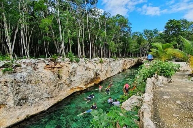 Tour 4 Cenotes House Turtle Tulum - Cenotes Casa Tortuga: The Main Event (Swim Time, Safety, and Gear)