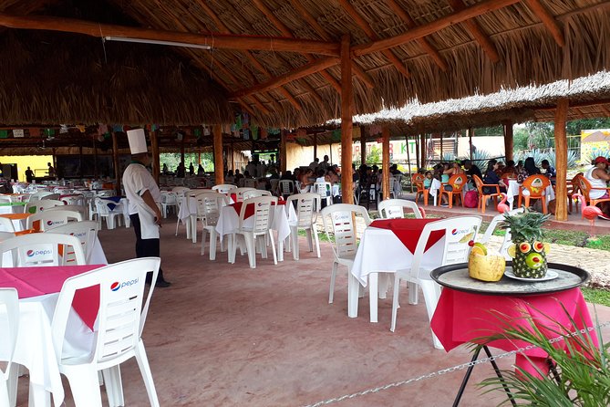 Tour from Cancun to Chichen Itza with cenote food and Valladolid - Price and logistics: where the real costs show up