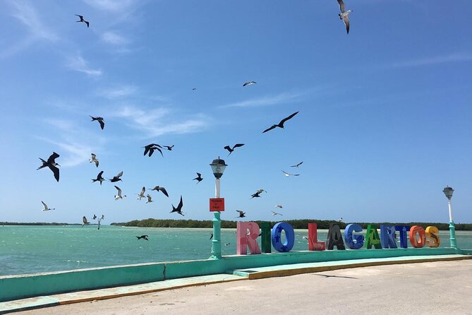 Tour to Las Coloradas Pink Waters and Boat Ride in Rio Lagartos with Lunch. - Food That Keeps the Day Moving: Breakfast Box Lunch Plus a Choose-From Lunch