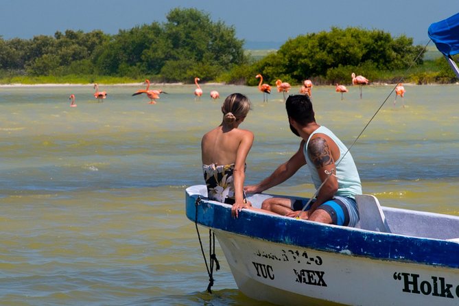 Tour to Las Coloradas Pink Waters and Boat Ride in Rio Lagartos with Lunch. - Crocodile Farm Stop: Worth It, But Treat It as a Bonus