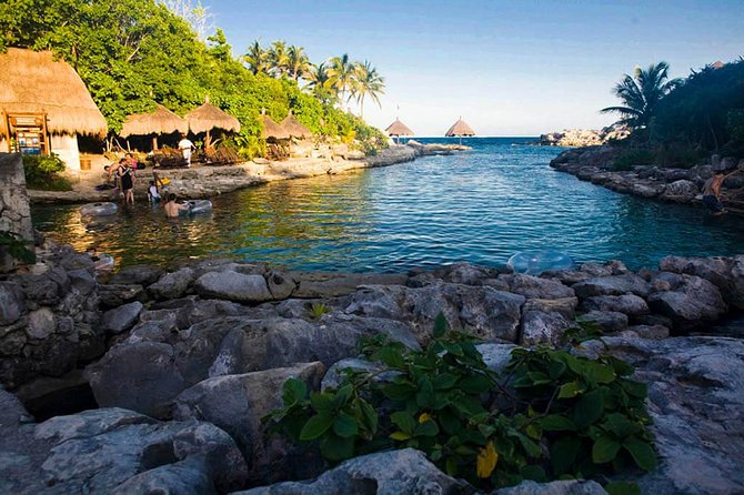Tour Xcaret All inclusive from Cancun (Transportation included) - Food timing, lunch value, and the beer and beverages setup
