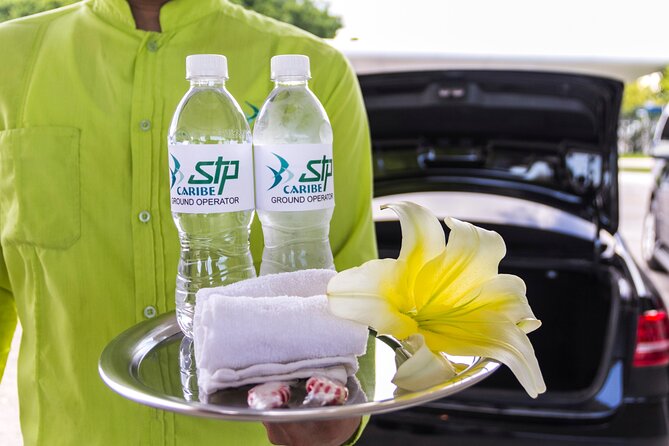Transfer in Luxury Mercedes Benz Minivan - Staying Safe At The Airport: How To Find Your Team