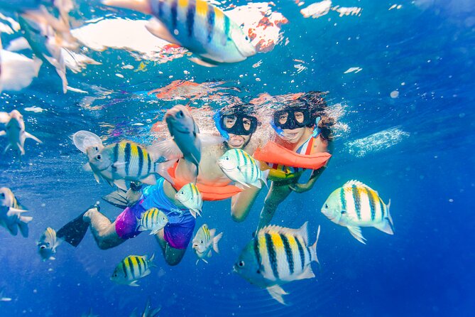 Trip to Isla Mujeres by Catamaran, with snorkeling and drinks - Isla Mujeres island time: 1.5 hours is short, so plan your priorities