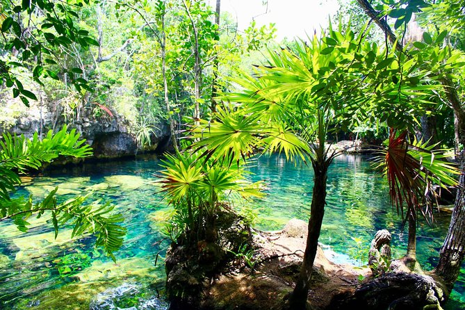Tulaka Cenote Experience - Your guide and your group: how personalization shows up in the day