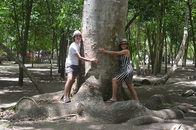 TULUM 4x1 : Archaeological Site, Cenote, 5th Avenue and lunch - Lunch and Comfort: What’s Included, What You’ll Still Pay For