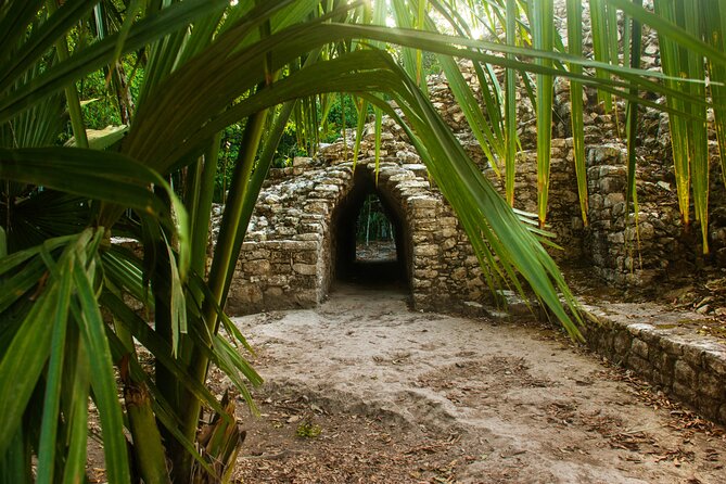 Tulum, Coba & Cenote All-Inclusive Tour - Price and what you really need to budget