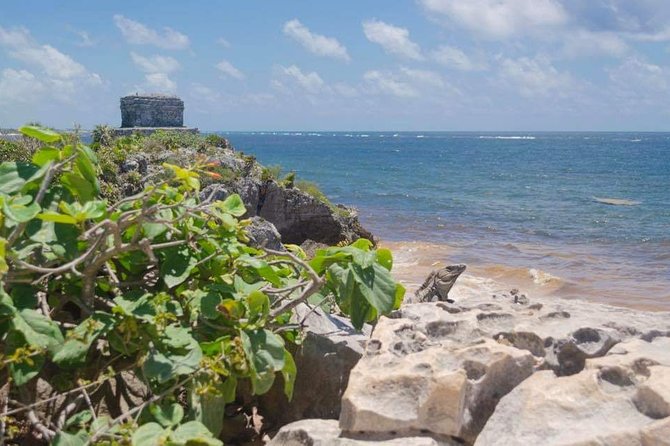 Tulum & Coba Private Tour - Coba Archaeological Zone: the 3 mile walk, Sacbe paths, and a pyramid climb