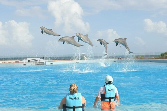 Tulum & Dolphin Connection from Cancun - Dolphin Discovery Akumal: What 40 Minutes in the Water Means