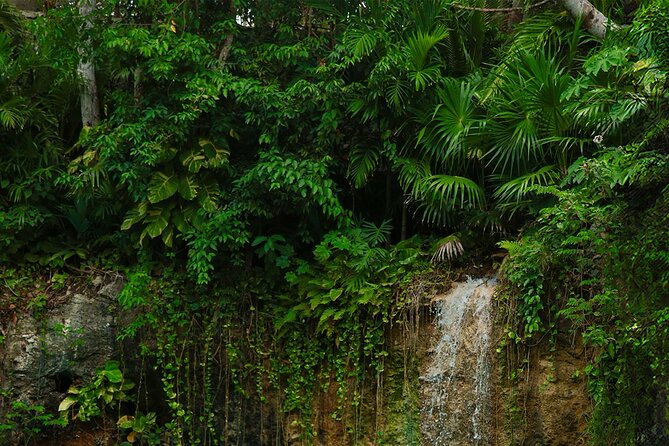 Tulum Essence Art and Photography Tour - Stop 1: Escultura Ven A La Luz and quick, included photo time