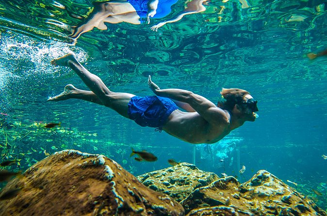 Tulum Ruinas and Tortugas Express - Who should book this tour, and who should rethink