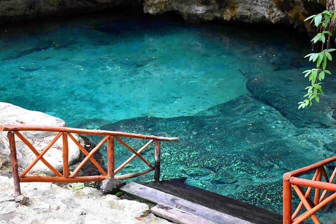 Tulum Ruins 4 Cenotes & Giant Sculpture - Four cenotes at Casa Tortuga: snorkel gear, conservation talk, and comfort tips
