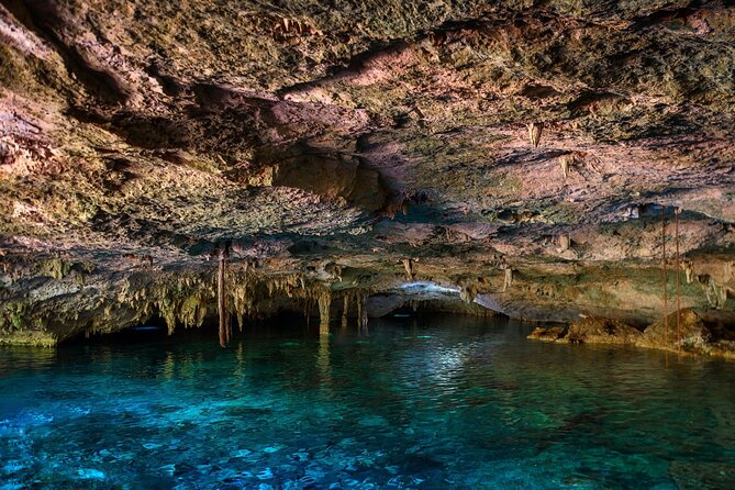 Tulum Ruins and Cenote Guided Tour, from Cancun - Who Should Book This Tour, and Who Might Want Something Else