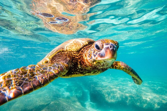 Tulum Ruins and Turtles Express - Group Size, Comfort, and the Real Schedule Feel