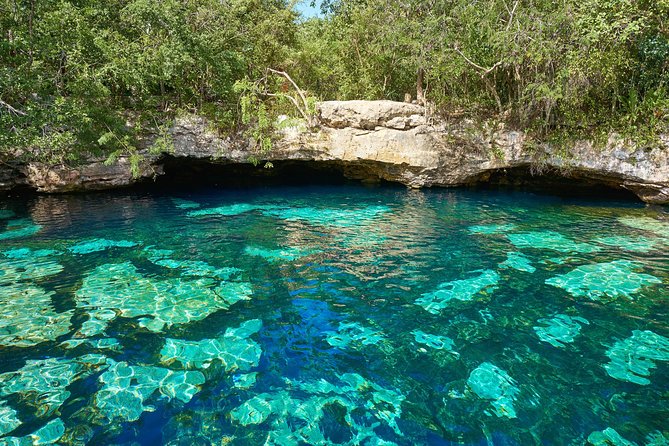 Tulum Ruins + Cenote Express - Early Pickup, Early Start: Why 6:30 am Can Be a Win