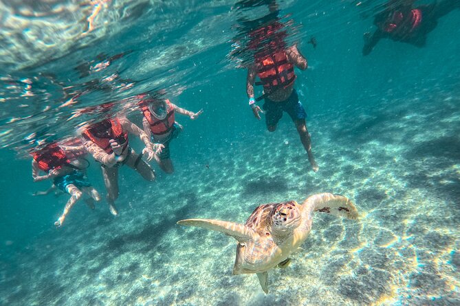 Tulum Ruins, Sea Turtles & Cenote Swim Adventure Tour - Akumal Sea Turtle Swim: The Wildlife Moment You’ll Remember
