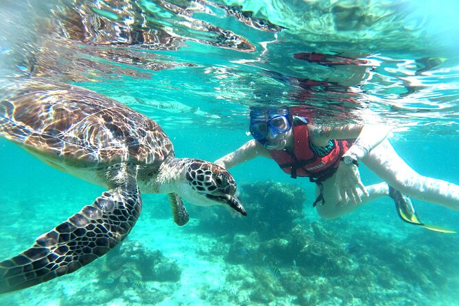 Tulum Ruins, Snorkeling with Turtles and Underground Caves - How This 9-Hour Loop Runs From Pickup to Return