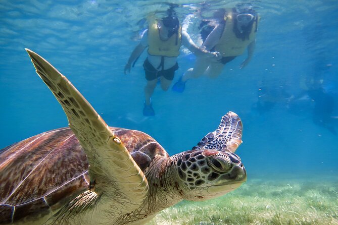 Tulum Ruins, Turtle Sighting and Underground Caves - Key things to know before you go